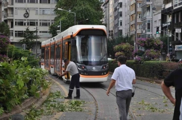 Eskişehir’de rüzgarda kırılan dal tramvay seferlerini aksattı
