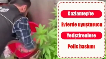 Gaziantep'te Evlerde uyuşturucu yetiştirenlere polis baskını