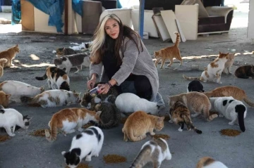 Fatma öğretmen, enkaz kentin sokak hayvanlarına umut oldu
