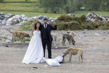 Felçli köpeğe yürüteç yaparken tanışıp evlenen çift, nikah öncesi sokak hayvanlarını besledi