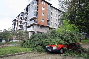 Fırtınada devrilen ağaç, aracın üstüne düştü
