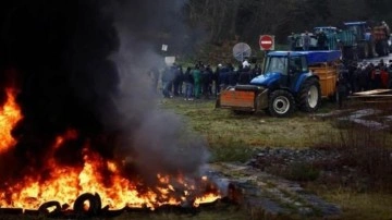 Fransa’da çiftçiler otoyola döktükleri ithal meyveleri ateşe verdi