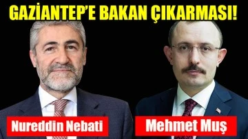 Gaziantep'e Bakan çıkarması! Hazine ve Maliye Bakanı Nureddin Nebati ve Ticaret Bakanı Mehmet Muş bugün Gaziantep'te