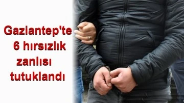 Gaziantep'te 6 hırsızlık zanlısı tutuklandı