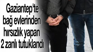 Gaziantep'te bağ evlerinden hırsızlık yapan 2 zanlı tutuklandı