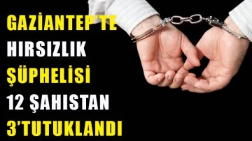 Gaziantep'te hırsızlık şüphelisi 12 şahıstan 3'ü tutuklandı