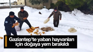 Gaziantep'te yaban hayvanları için doğaya yem bırakıldı