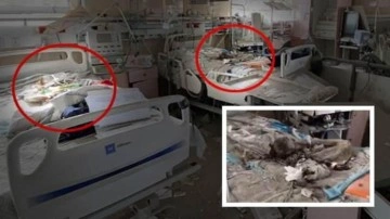 Gazze'de çürümüş bebekler bulundu