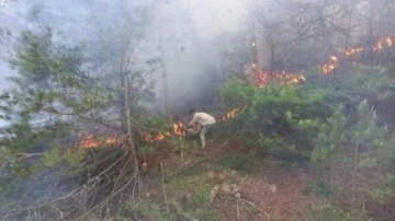 Göynük'te orman yangınında 1 hektar alan zarar gördü