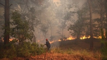Gümülcine'deki Yangın Kontrol Altına Alınamadı