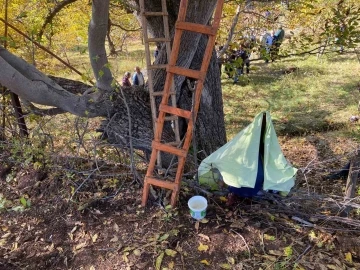 Gümüşhane’de ceviz ağacından düşen adam demire saplanarak hayatını kaybetti
