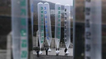 Güney Kore'de aktivistler, Kuzey Kore'ye balonlar göndermeye devam ediyor