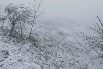 Hakkari köylerinde Mayıs ayında kar sürprizi
