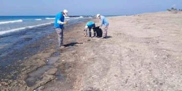 Hatay sahilleri Hatay Büyükşehir Belediyesi tarafından temizleniyor
