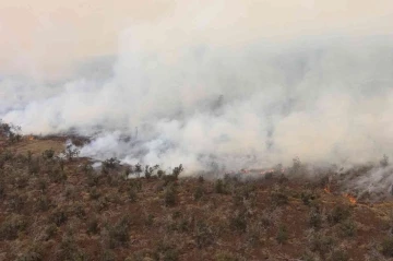 Hawaii’de çalılık alanda yangın: 9 bin 800 hektar alan kül oldu
