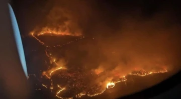 Hawaii’deki orman yangınlarında can kaybı 53’e yükseldi
