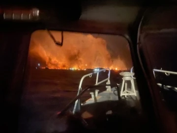 Hawaii’deki orman yangınlarında ölü sayısı 67’ye yükseldi
