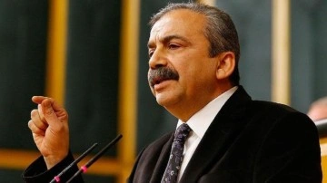 HDP'li Sırrı Süreyya Önder'den skandal sözler: Öcalansız ve PKK'sız olmaz