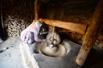 Hizan’da üretilen çeltik asırlık su değirmeninde öğütülüyor
