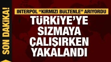 İnterpol &ldquo;kırmızı bültenle&rdquo; arıyordu, Mehmetçik Türkiye'ye sızmaya çalışırken yakal