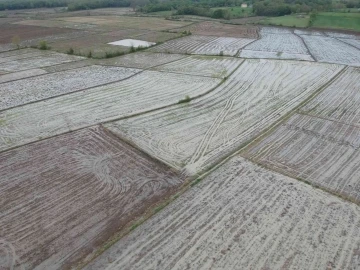 Islah edilmeyen çay taştı, tarım arazileri sular altında kaldı
