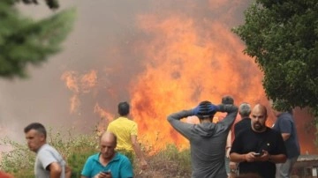 İspanya'da orman yangını: 700 kişi tahliye edildi