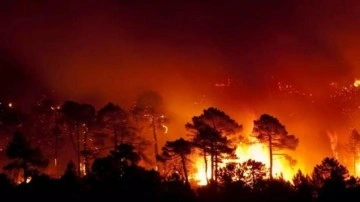 İspanya'da yangın felaketi: 1300 kişi tahliye edildi