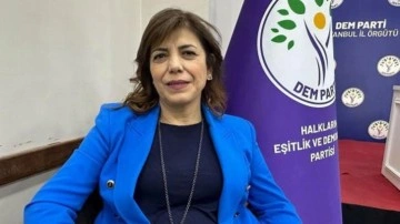 İstanbul ve Diyarbakır'da oy kullanamayacak olan Meral Danış Beştaş için açıklama
