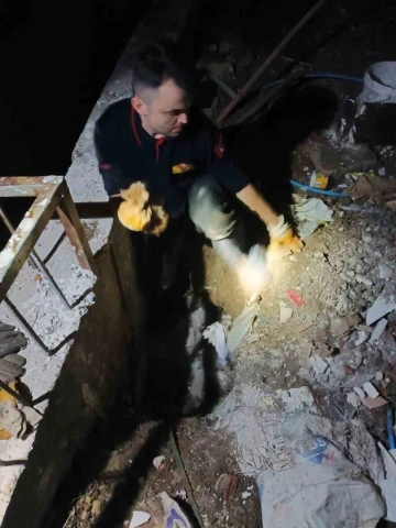 İstinat duvarı arasına sıkışan kedi 2 saatlik çalışmayla kurtarıldı
