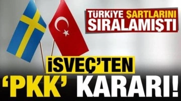 İsveç Yüksek Mahkemesi'nden PKK'lı teröristle ilgili karar! Türkiye şartlarını sıralamıştı