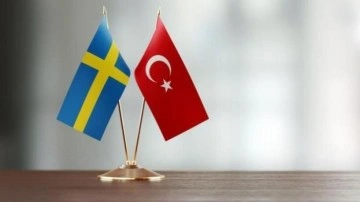 İsveç'ten Türkiye açıklaması: Görüşmeler oldukça iyi devam ediyor