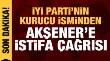 İYİ Parti'nin kurucularından Ethem Baykal'dan Akşener'e istifa çağrısı