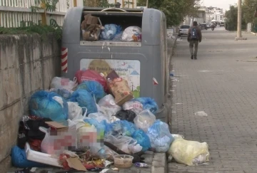 İzmir Çiğli’nin her köşe başı çöp yığını, kenti kötü koku sardı
