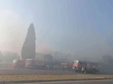 İzmir’de çıkan yangın kontrol altına alındı
