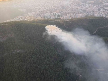 İzmir’de ormanlık alanda yangın
