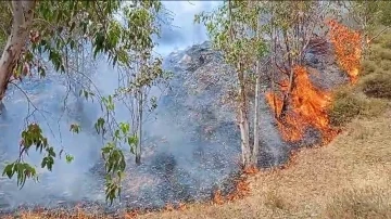 İzmir’de ormanlık alandaki yangın kontrol altında
