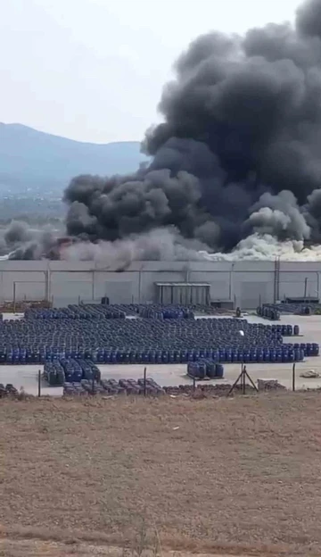 İzmir’de palet fabrikasında büyük yangın
