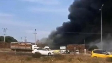 İzmir'de palet fabrikasında yangın