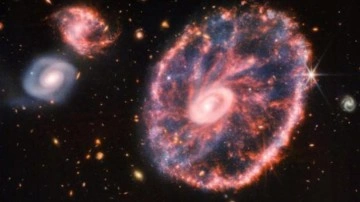 James Webb Teleskobu Cartwheel Galaksisi&rsquo;ni görüntüledi