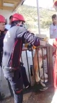 Kahramanmaraş'ta Demir Ayağına Saplanan Köpek İtfaiye Ekipleri Tarafından Kurtarıldı