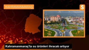 Kahramanmaraş'ta su ürünleri ihracatı artıyor
