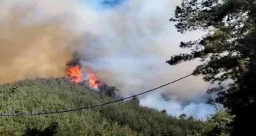 Kahramanmaraş’taki yangında 35 hektar ormanlık alan zarar gördü