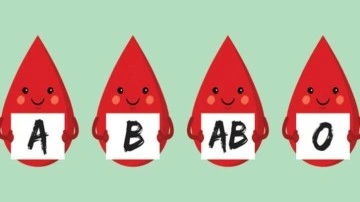 Kan gruplarına göre beslenme listeleri! Kan grubu beslenme şekilleri nasıl olmalıdır?