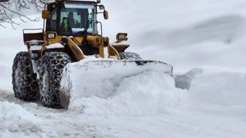Kar yağışı etkisini artırdı: 54 yerleşim yerine ulaşım sağlanamıyor