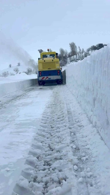 Kardan dolayı kapanan köy yolları tek tek açılıyor
