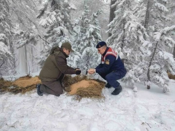 Karla kaplı Kazdaağları’nda yaban hayvanları için yem bıraktılar
