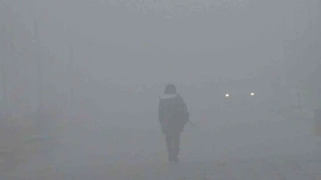 Kars’ta sis hayatı olumsuz etkiliyor

