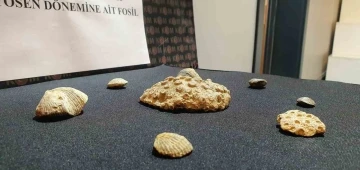 Kayseri’de polis 10 milyon yıllık fosil ele geçirdi
