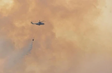 Kemer'deki orman yangınına havadan müdahale (6)