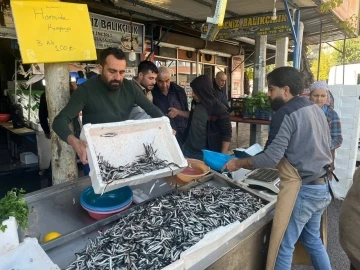 Kilis’te balık tezgahlarını Karadeniz hamsisi süslüyor

